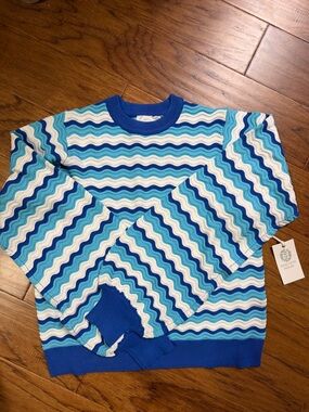 NWT Hyacinth House Sweater Size L